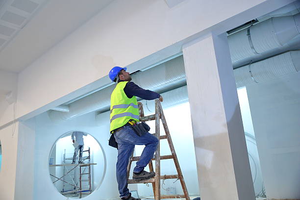 Best Post-Construction Mold Inspection  in Springdale, MD