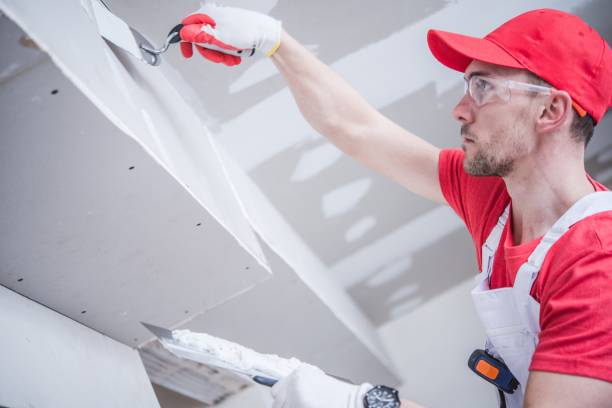 Best Basement Mold Removal  in Springdale, MD